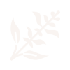 A Close Up Of A Logo